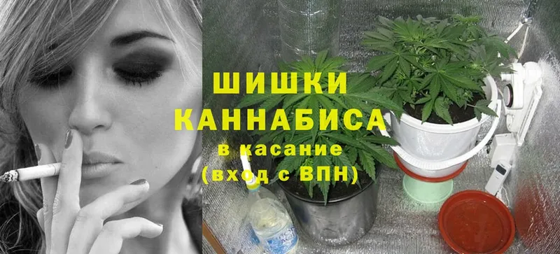 МАРИХУАНА конопля  где купить наркоту  kraken рабочий сайт  Шумерля 